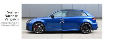 BMW 3er E90 Lim. (Tip 390L/3L, 09.06-12.11) samo 335d, bez X-Drive (Allrad)