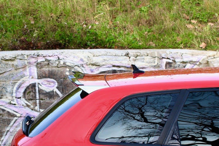 SPOILER CAP suitable for Audi RS3 8P